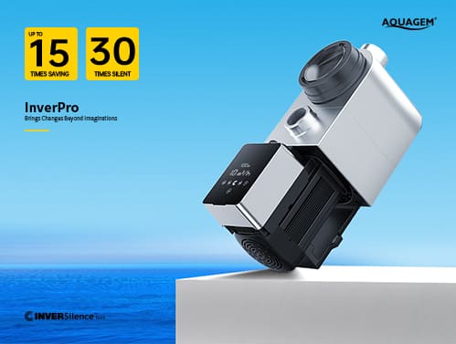 What Does A Pool Pump Do